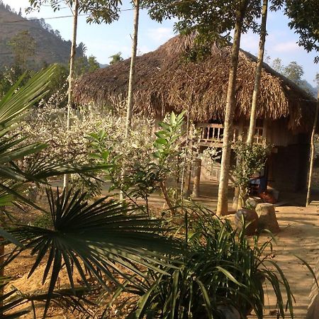 Apartament Sa House Bac Ha Zewnętrze zdjęcie