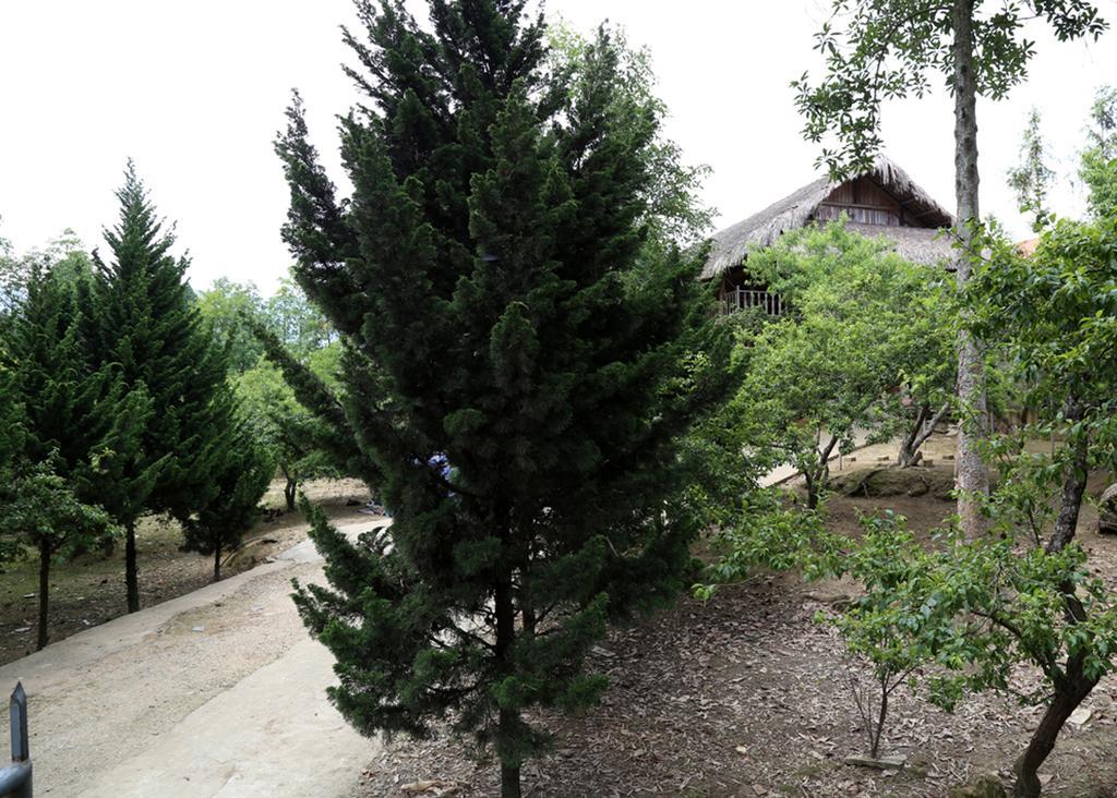 Apartament Sa House Bac Ha Zewnętrze zdjęcie