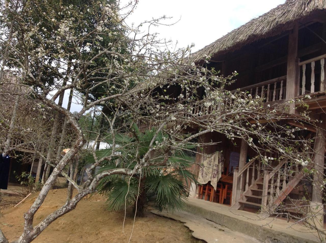 Apartament Sa House Bac Ha Zewnętrze zdjęcie