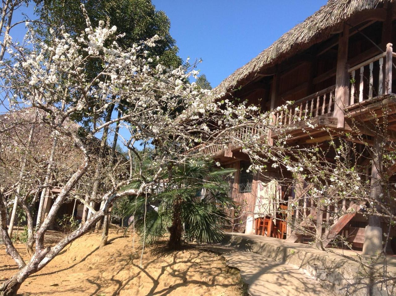 Apartament Sa House Bac Ha Zewnętrze zdjęcie