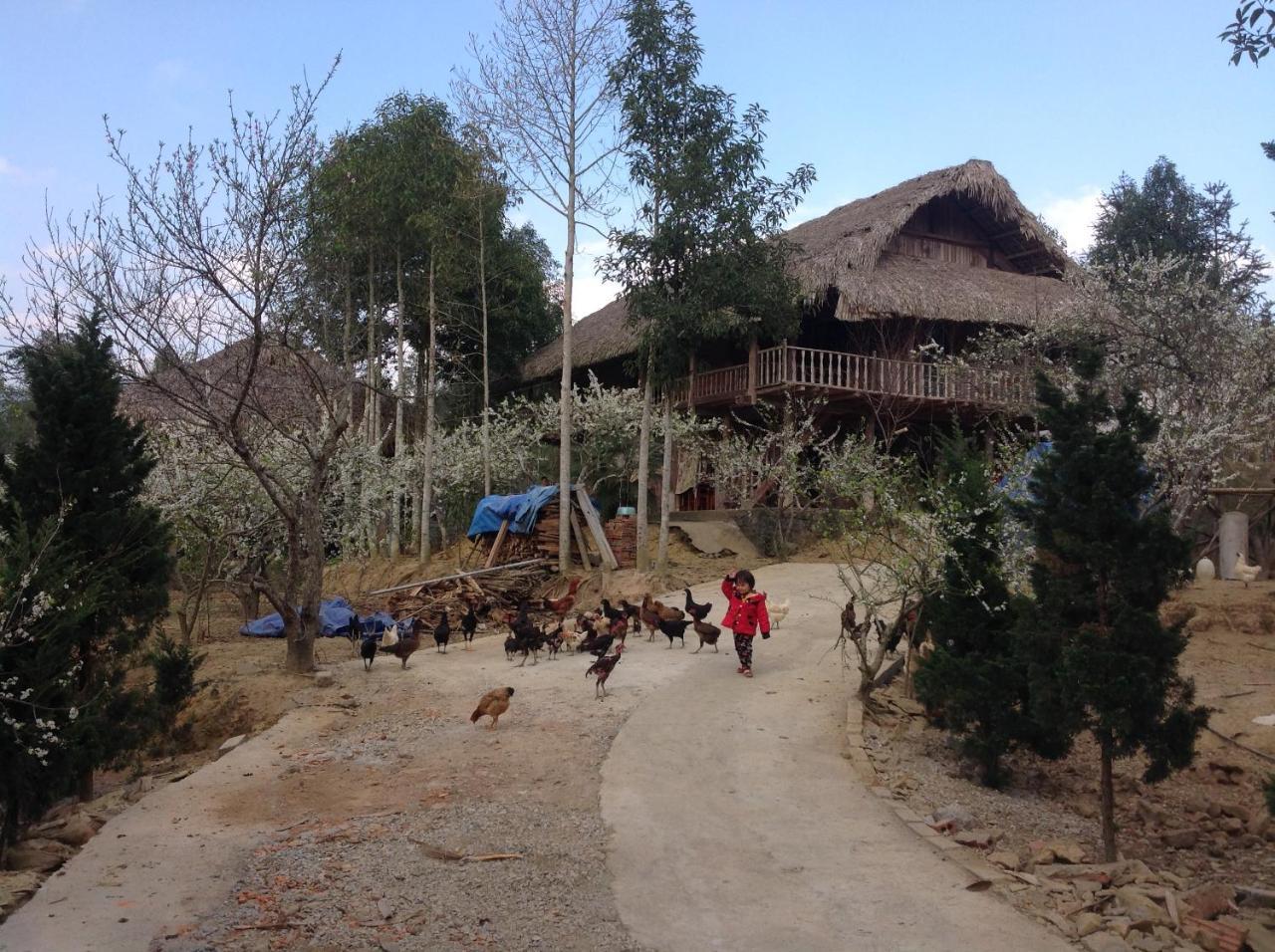 Apartament Sa House Bac Ha Zewnętrze zdjęcie